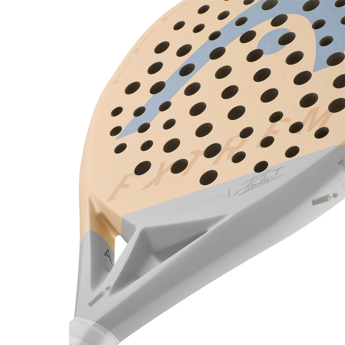 Head Extreme Motion 2024