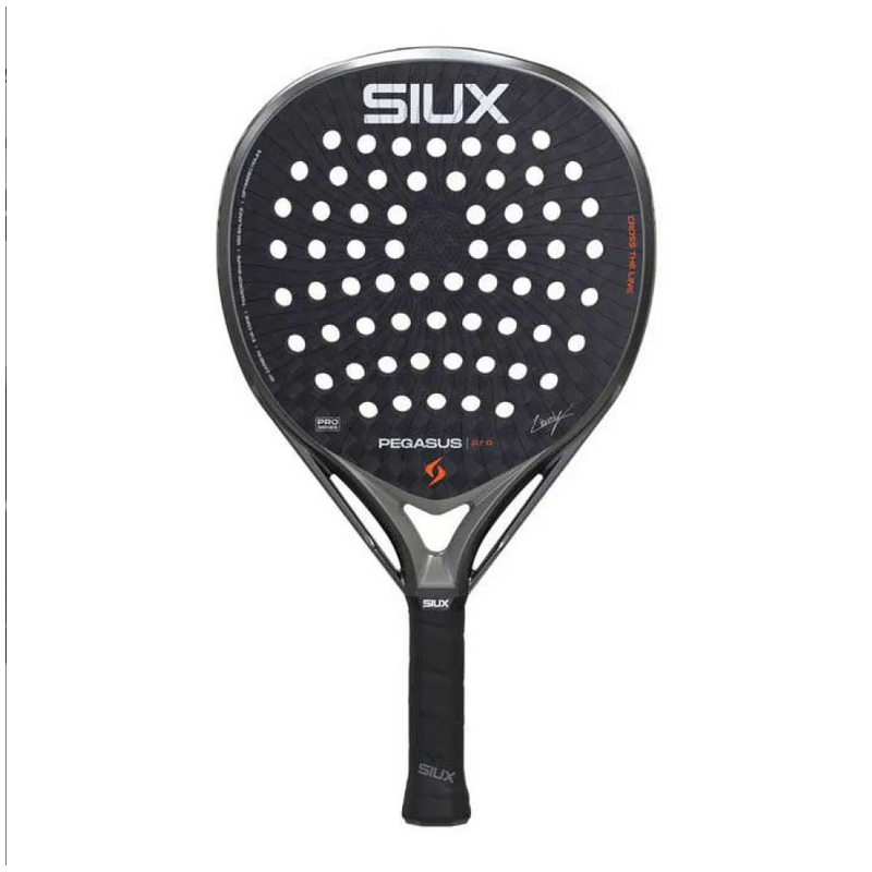 Siux Pegasus Pro 2026