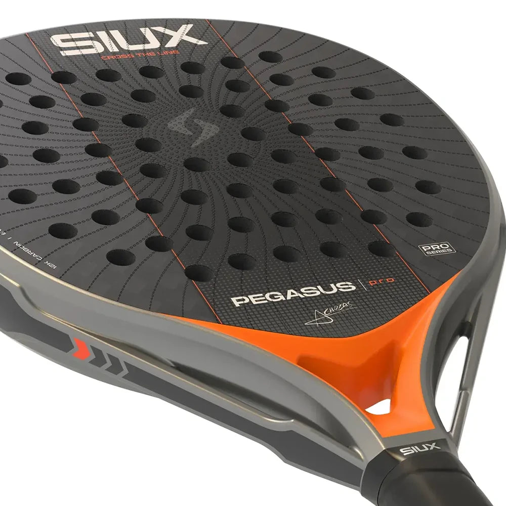 Siux Pegasus Pro Silver 2027