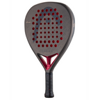 Head Coello Motion 2026